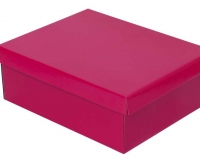 Caja ordenadora en colores lisas con brillo exterior. Usos: guardado de zapatos, botas, regalos, jardines, otros.
